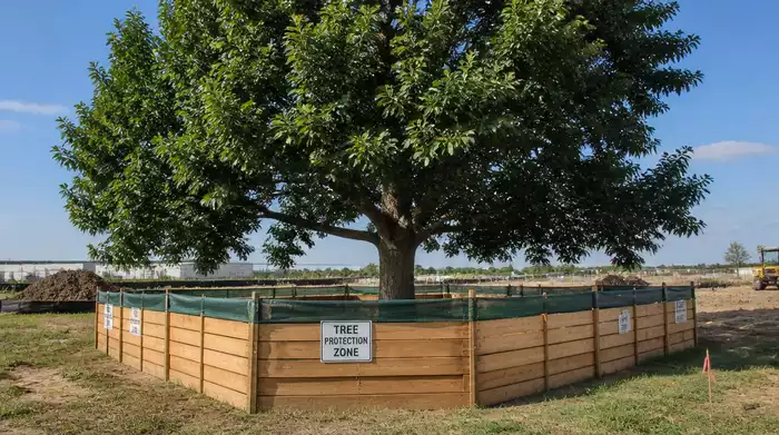 Protecting Trees in Construction Projects
