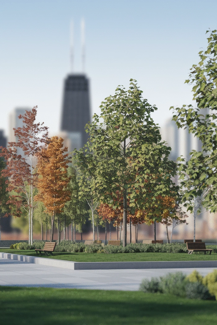 Why Urban Tree Diversity Matters for a Healthy and Resilient Ecosystem