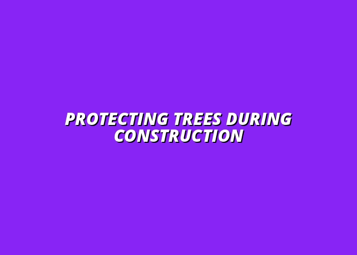 How to Protect Trees from Urban Construction and Infrastructure Projects